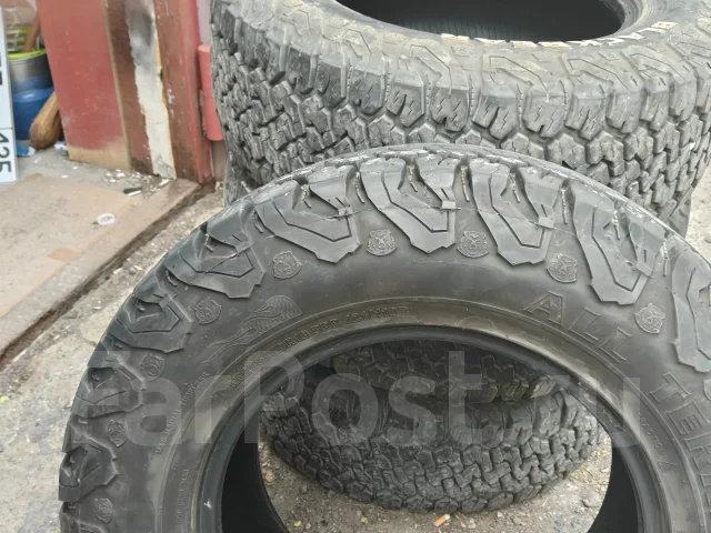 Blackbear All Terrain II. ����� at, 2024 ���, �/�, ����� �� 5 % ����