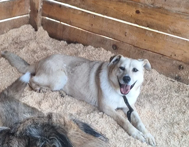 ������. ����