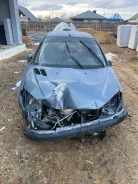 Peugeot 206 ����