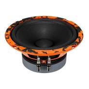 DL Audio ����