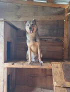 ������. ����