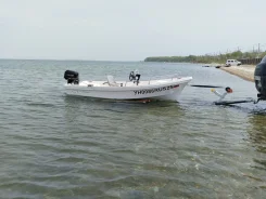 ���� 14. 2020 ���, ����� 4,3��., ��������� ���������, 30��.�., ������ ����