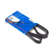 ������ ������������ Avantech Avantech 5PK1000 Avantech 5PK1000 ����