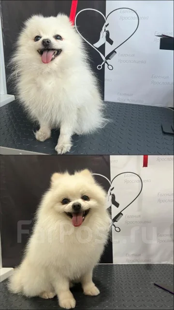 ��������-������. ����