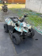 Grizzly 125. ��������, ��� ���\���, �� ����