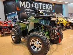 FXmoto Wasp