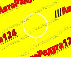 ��������� ����������� �������� ���� XRay (21177-1008636) [20417] (Rosteco) 20417 ����