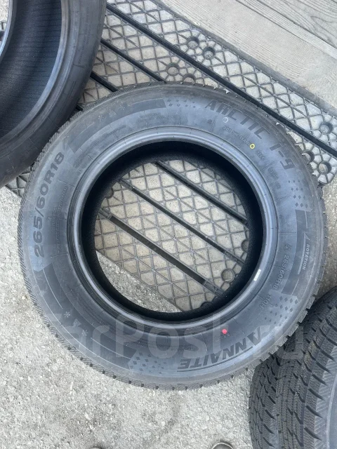 Annaite Arctic I-9. ������, ��� �����, 2024 ���, ����� ����
