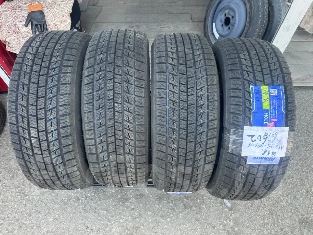 Annaite Arctic I-9. ������, ��� �����, 2024 ���, ����� ����