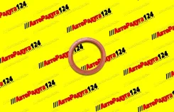 ������� ��������� ��� �������� (406 ��. ) (55*70*8 ��) [440.302] (Elring) 440302 ����
