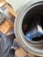 WinRun R330. ������, 2018 ���, �/�, ����� 15 % ����