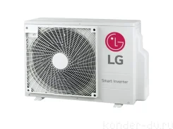 LG
