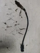 ������ ����������� ���� ������ 2010 11180385001000 1183 11180385001000 ����