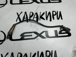 ������ ����������� Lexus RX270 RX350 RX450h 2008-2015 8946748220 GGL15 2GRFE 8946748220 ����