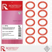 ������ �������������� ��������� ������ (10 ��. ) ������� Rosteco 20754 Rosteco 20754 20754 ����