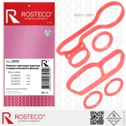 �������� ��������� �������� � ������� ��������� ������� Rosteco 21111 Rosteco 21111 21111 ����