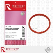 ������ �������������� ��������� ���������� FVMQ Rosteco 21579 Rosteco 21579 21579 ����