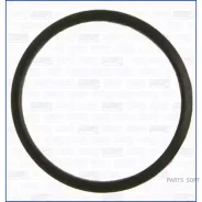 ��������� ���������� Ajusa 00520000 00520000 ����