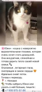 �����. ����