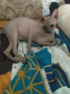 ����� �����. ����