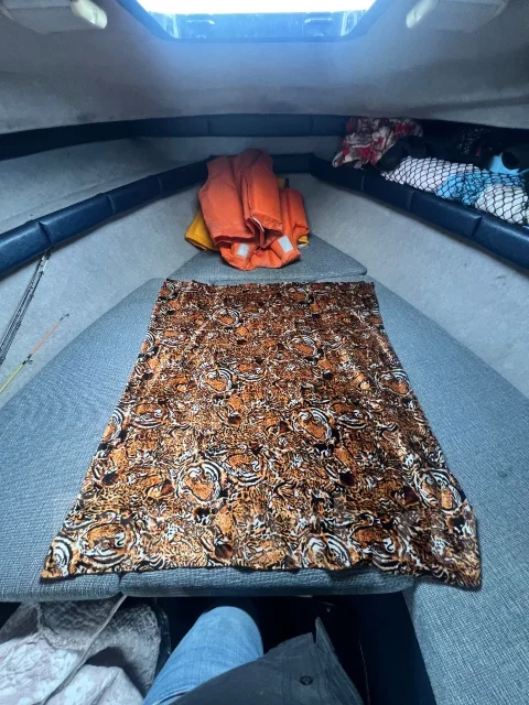 Bayliner. 1992 ���, ����� 7,5��., ��������� ������������, 230��.�., ������ ����