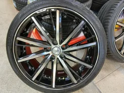 Kyoho Steiner SF-V