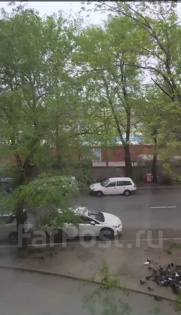 ������, ����� �������� 84. ������ �����, ���������, 14,3���.��., 2/5 ����, ������������� ������. ��� �� ���� ���� ����