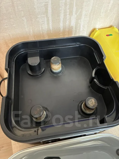���������. ����