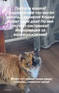 �����. ����