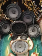 Bose