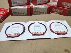 ������ ��������� �������� 0,50 Citroen / Peugeot / Ford Jumper / Boxer / Transit 2006 - ����. ����� 9109425050 250 / 3 / TT9 / V347 / V348 2.2 TDCI 91...