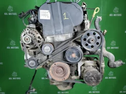 ��������� Ford Focus 1998-2007 EDDB EDDB 1215885, 1215895 ����