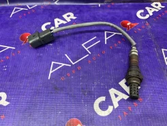 ������-���� Mitsubishi Grandis 2005 MN163400 NA4W 4G69, �������� MN163400 ����