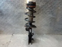 ������ �������� Nissan Qashqai 2006-2014 543021DA1A J10 MR20DE, �������� ����� 543021DA1A ����