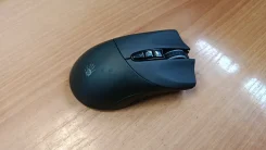���� ������������. ����