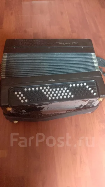 �����. ����