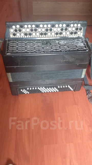 �����. ����