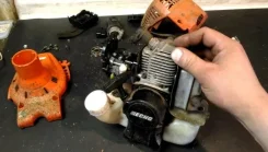������ ���������. ����