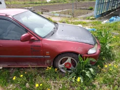 Honda Civic Ferio. 112222222, 11222222222 ����