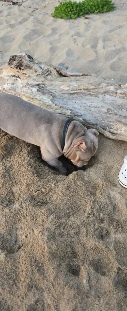 ������������ �����. ����