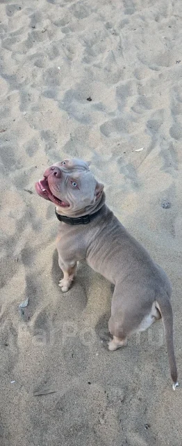 ������������ �����. ����