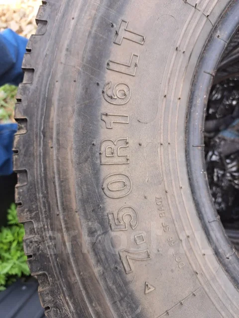 Annaite 386. �����������, 2023 ���, �/�, ����� 80 % ����