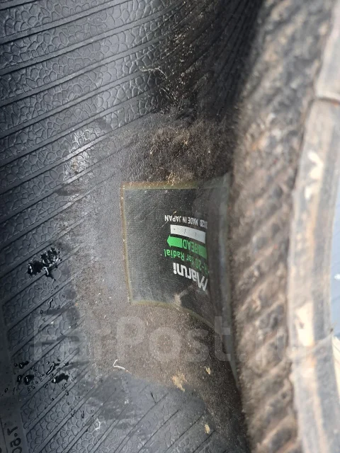 Annaite 386. �����������, 2023 ���, �/�, ����� 80 % ����