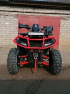 Yamaha Grizzly 250. ��������, ��� ���\���, �� ����