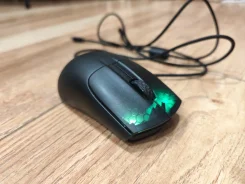 ���� �������. ����