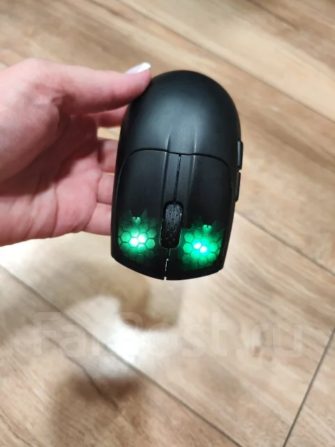 ���� �������. ����