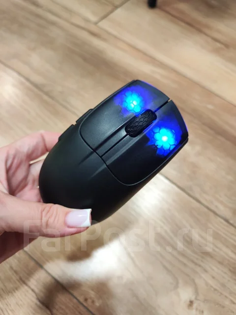 ���� �������. ����