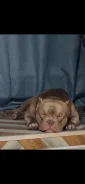 ������������ �����. ����