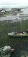 ���-�. 1985 ���, ����� 4,2��., ��������� ��� ��������� ����