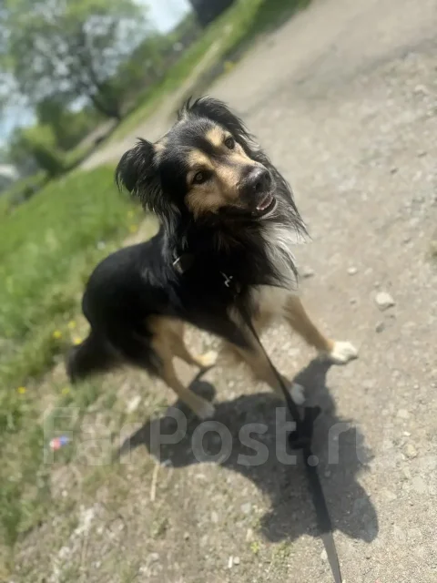 ������. ����